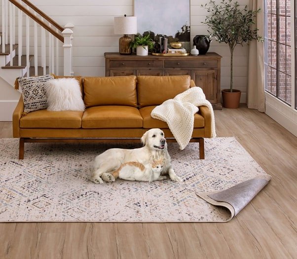 best-pet-friendly-rugs-for-your-home-the-inspiring-journal
